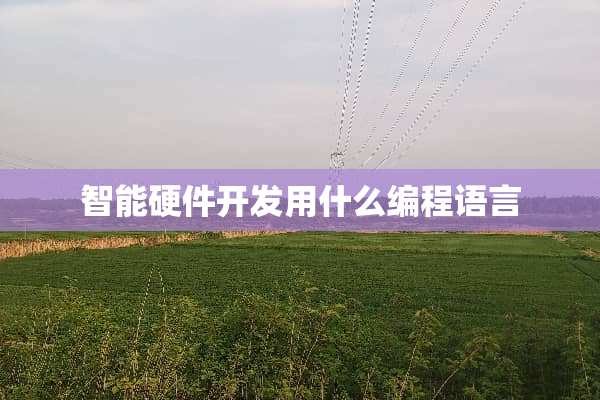 智能硬件开发用什么编程语言