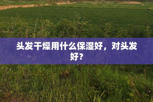 头发干燥用什么保湿好，对头发好？