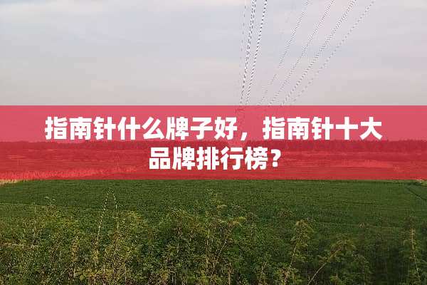 指南针什么牌子好，指南针十大品牌排行榜？