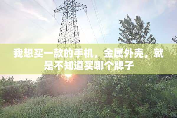 我想买一款的手机，金属外壳，就是不知道买哪个牌子