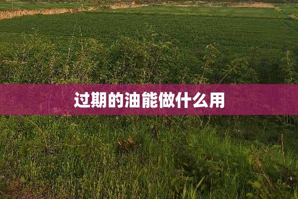 过期的油能做什么用