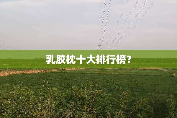 *胶枕十大排行榜？