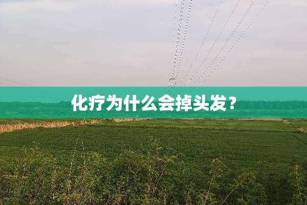 化疗为什么会掉头发？
