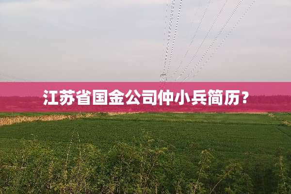 江苏省国金公司仲小兵简历？
