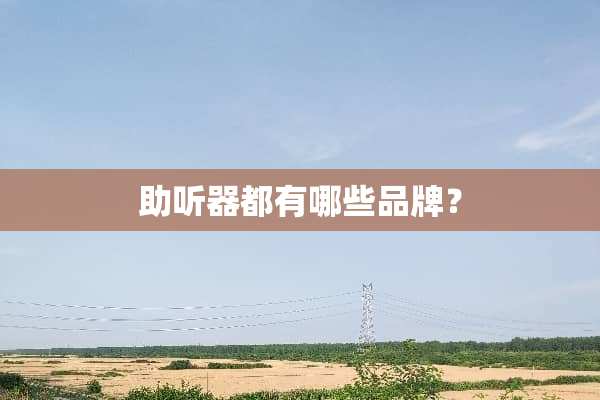 ***都有哪些品牌？