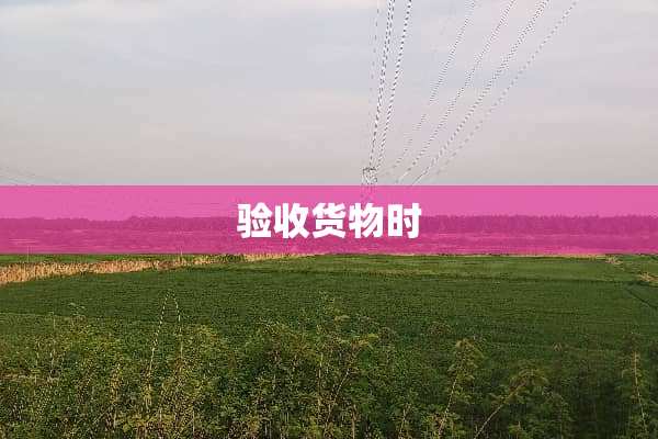 验收货物时
