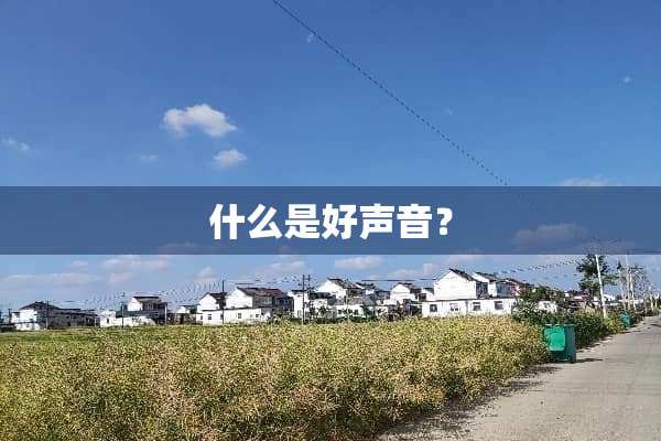 什么是好声音？