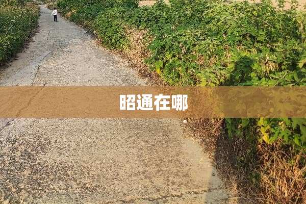 昭通在哪