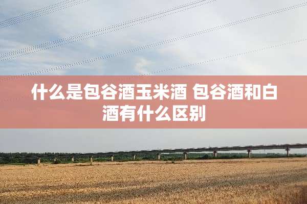 什么是包谷酒玉米酒 包谷酒和白酒有什么区别