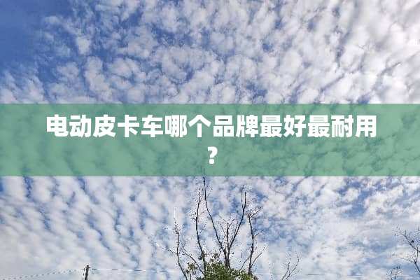 电动皮卡车哪个品牌最好最耐用？