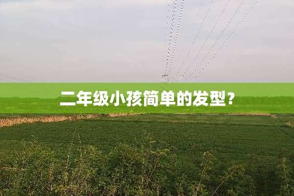 二年级小孩简单的发型？