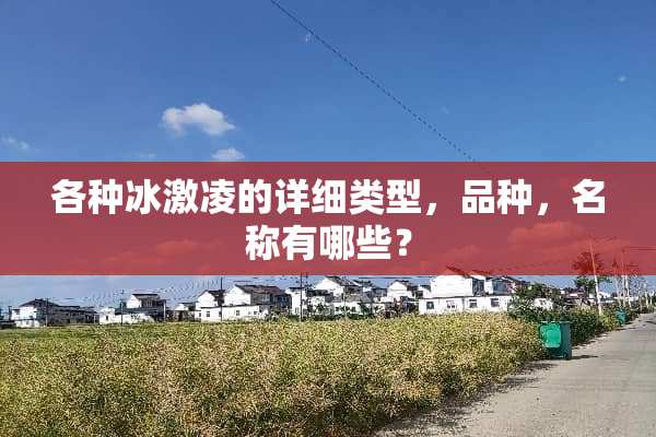 各种冰激凌的详细类型，品种，名称有哪些？