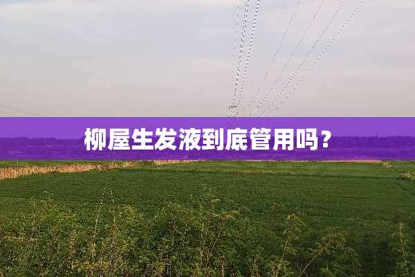 柳屋生发液到底管用吗？