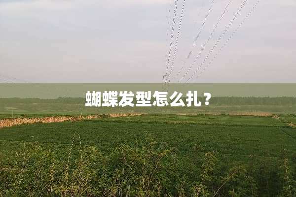 蝴蝶发型怎么扎？