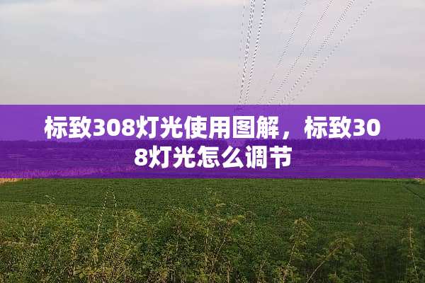 标致308灯光使用图解，标致308灯光怎么调节