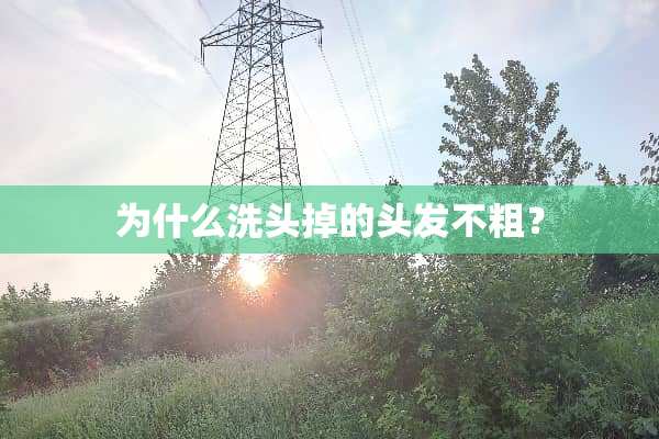 为什么洗头掉的头发不粗？
