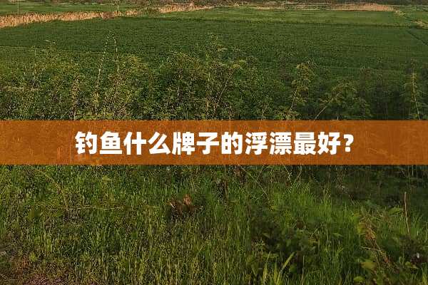 钓鱼什么牌子的浮漂最好？