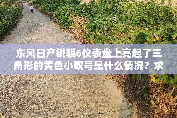 东风日产锐骐6仪表盘上亮起了三角形的**小叹号是什么情况？求解