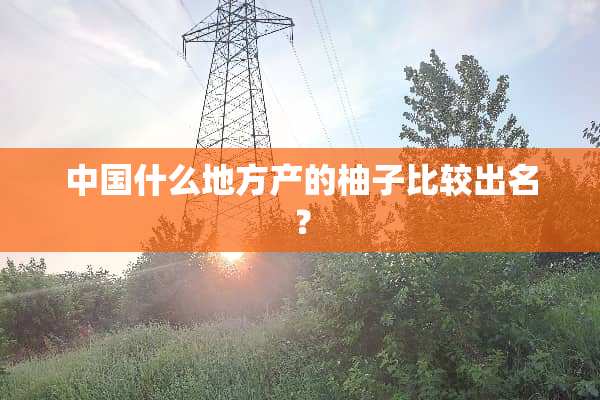中国什么地方产的柚子比较出名？