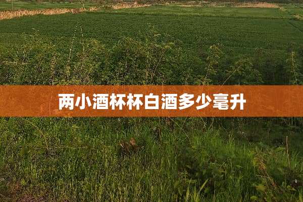 两小酒杯杯白酒多少毫升