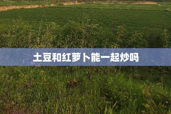 土豆和红萝卜能一起炒吗