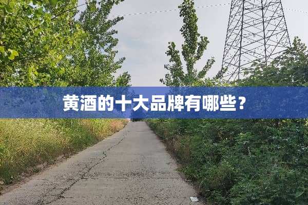 黄酒的十大品牌有哪些？