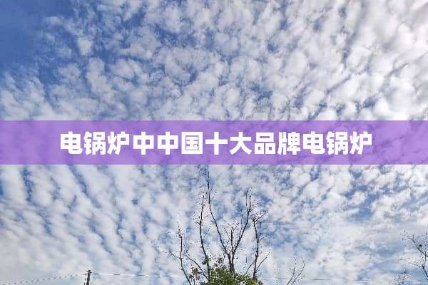 电锅炉中中国十大品牌电锅炉