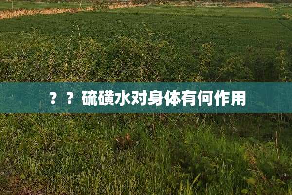 ？？硫磺水对身体有何作用