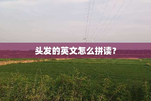 头发的英文怎么拼读？