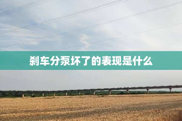 刹车分泵坏了的表现是什么