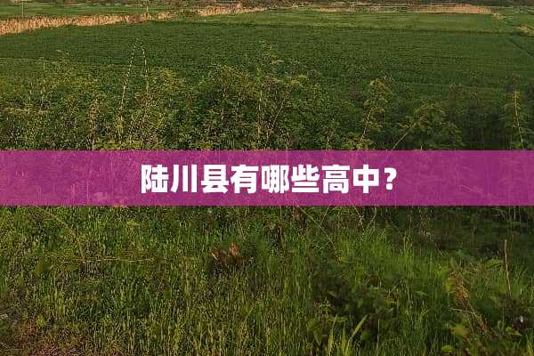陆川县有哪些高中？