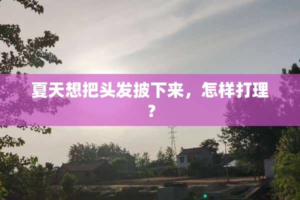 夏天想把头发披下来，怎样打理？