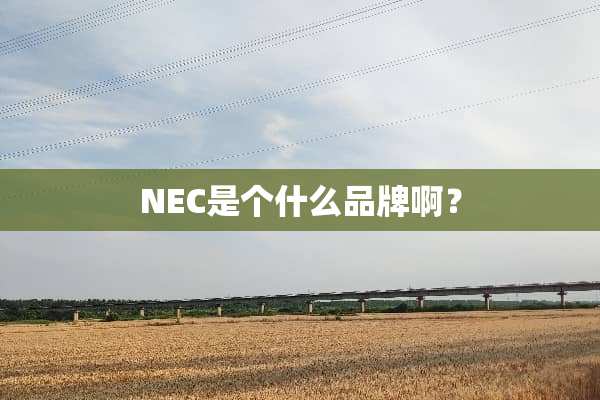 NEC是个什么品牌啊？