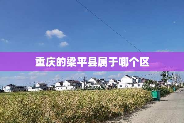 重庆的梁平县属于哪个区