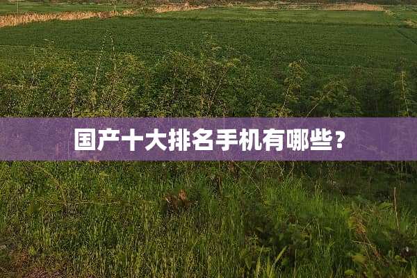 国产十大排名手机有哪些？