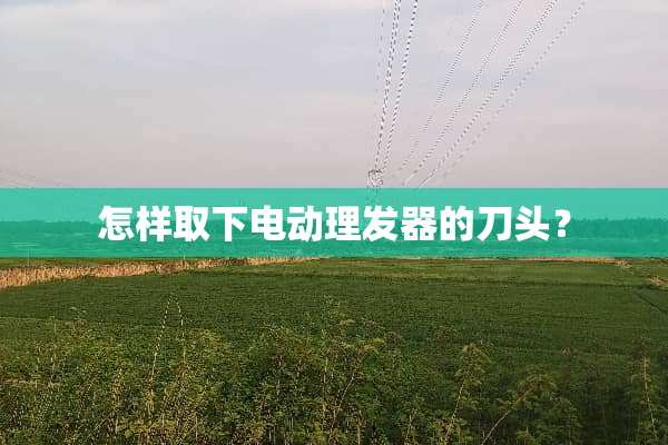 怎样取下电动理发器的刀头？