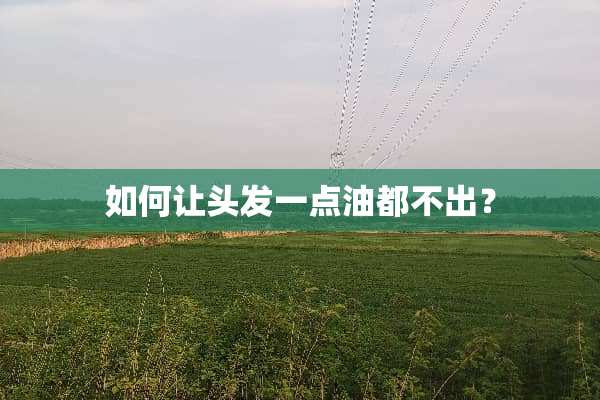 如何让头发一点油都不出？