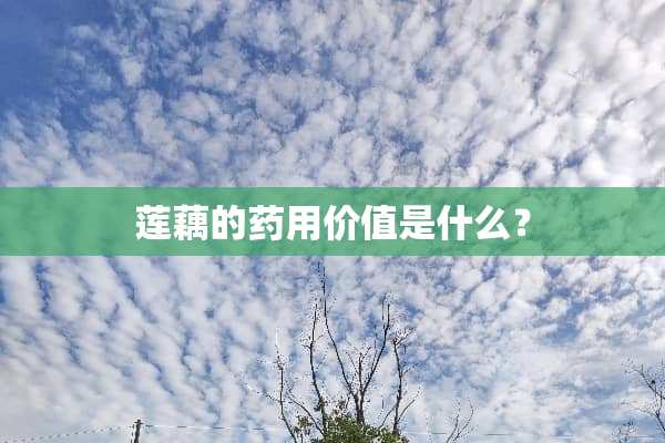 莲藕的药用价值是什么？