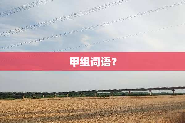 甲组词语？