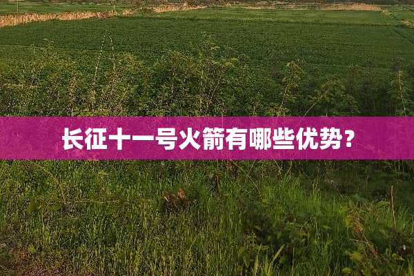 长征十一号火箭有哪些优势？