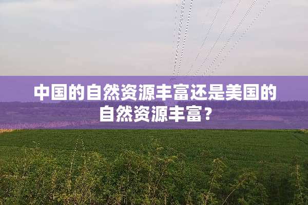 中国的自然资源丰富还是美国的自然资源丰富？