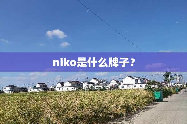 niko是什么牌子？