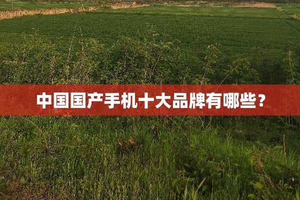 中国国产手机十大品牌有哪些？