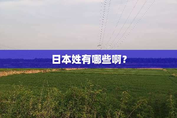 日本姓有哪些啊？