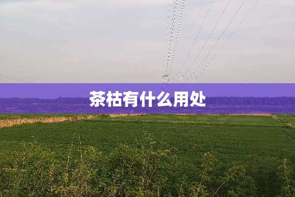 茶枯有什么用处