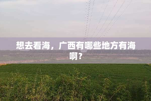 想去看海，广西有哪些地方有海啊？