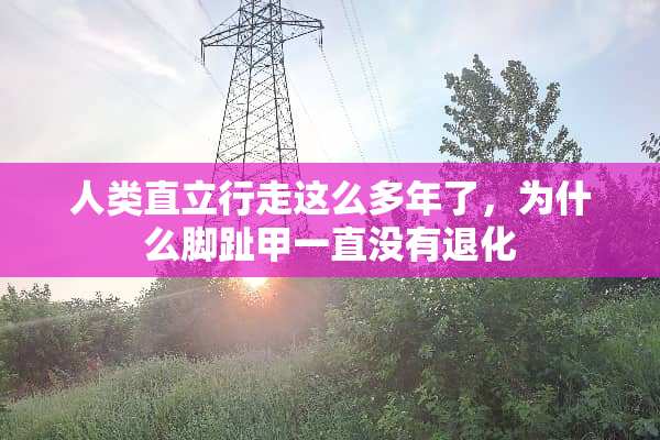 人类直立行走这么多年了，为什么脚趾甲一直没有退化
