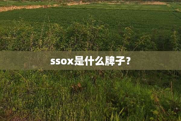 ssox是什么牌子？