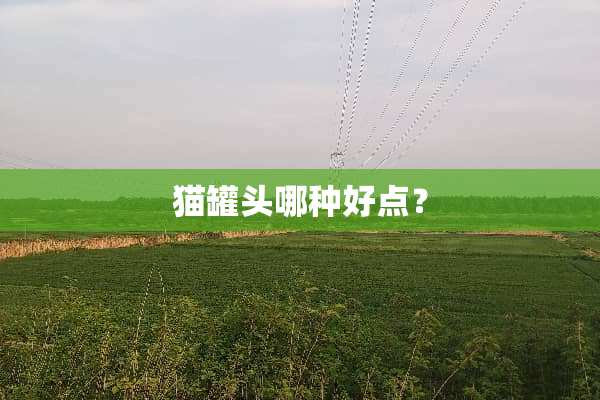 猫罐头哪种好点？