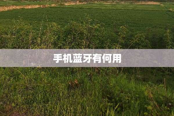 手机蓝牙有何用